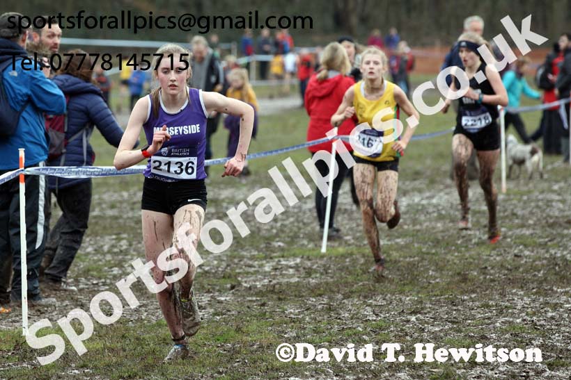 Womens under-17s 2018 British Inter Counties Cross Country Champs., Prestwold Hall, Loughborough. Photo: David T. Hewitson/Sports for All Pics